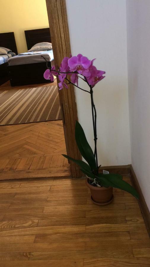 Cozy Guest House In Old Batumi Luaran gambar
